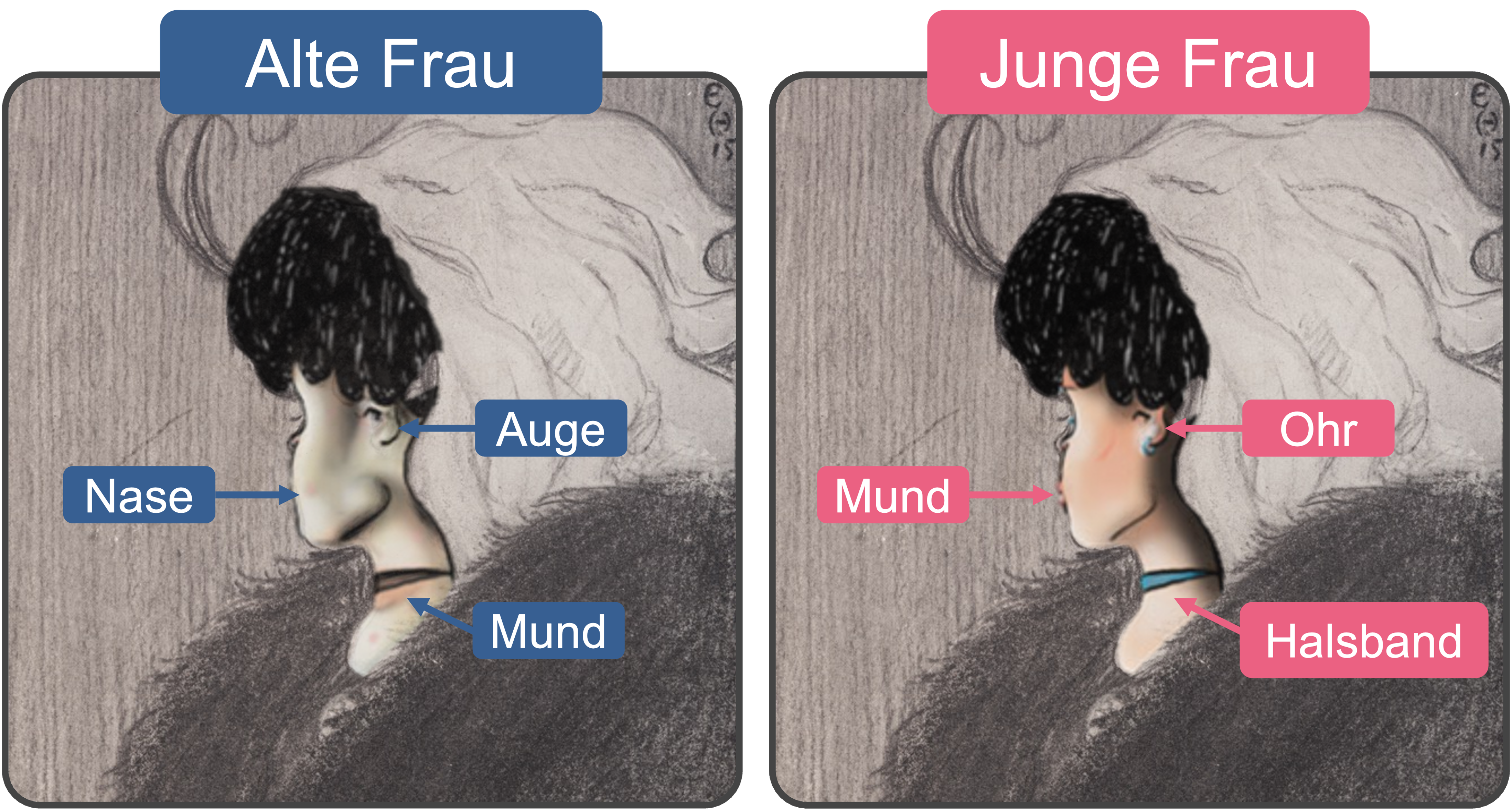 Kippbild junge Frau alte Frau
